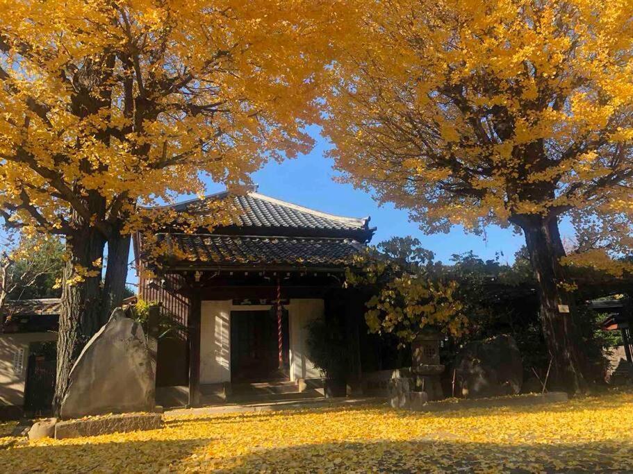Us31山手线上野日本著名设计师设计公寓，直达上野2分直达新宿，涉谷，秋叶原，东京，便利店饮食店满载 Tokyo
