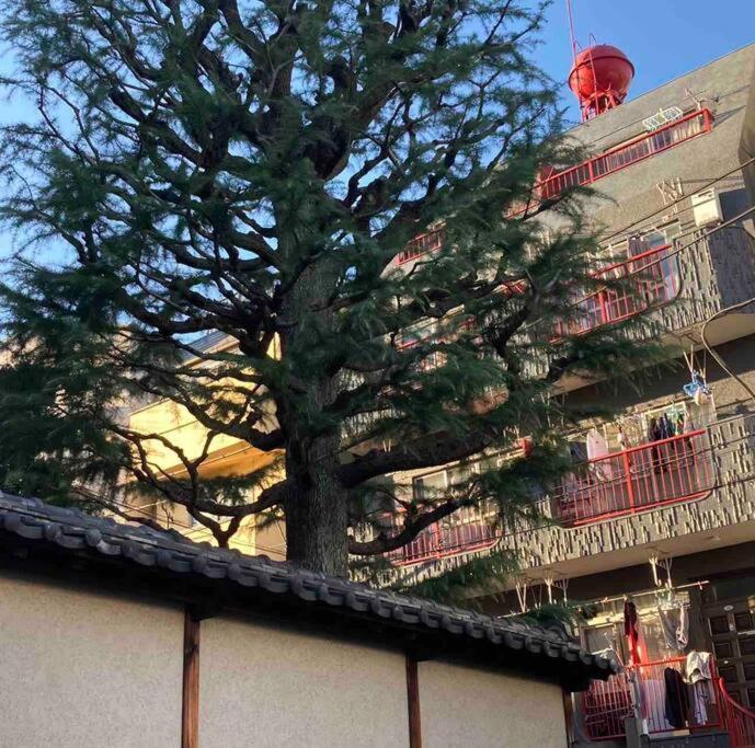 Apartment Us31山手线上野日本著名设计师设计公寓，直达上野2分直达新宿，涉谷，秋叶原，东京，便利店饮食店满载 *